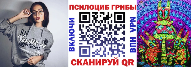 Купить где  Богучар  Псилоцибиновые грибы Magic Shrooms 